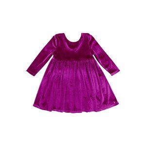 Pink Chicken Velour Steph Dress in Berry